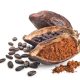 Cocoa pod, beans and powder isolated on a white background